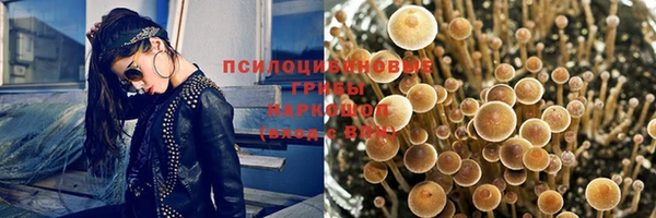 эйфоретик Новокубанск