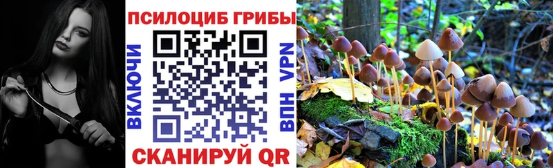 магазин  наркотиков  дарк нет телеграм  Галлюциногенные грибы Psilocybe  Рошаль 